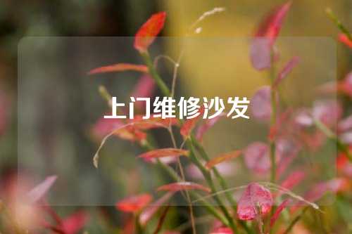 上门维修沙发