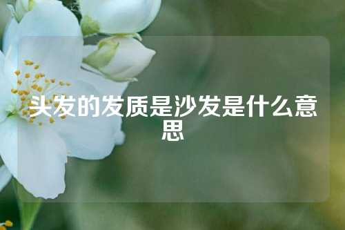头发的发质是沙发是什么意思