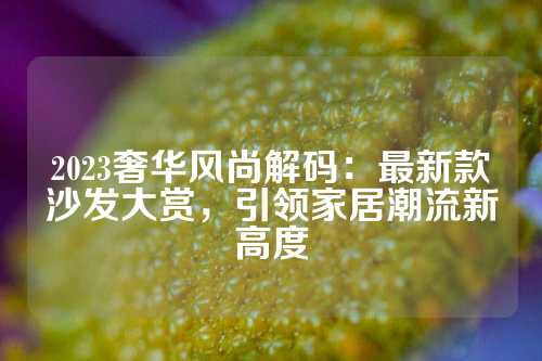 2023奢华风尚解码：最新款沙发大赏，引领家居潮流新高度