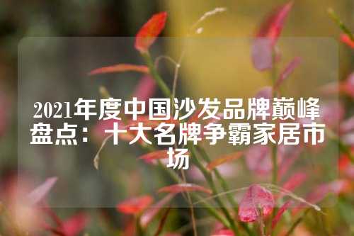 2021年度中国沙发品牌巅峰盘点：十大名牌争霸家居市场