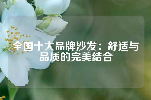 全国十大品牌沙发：舒适与品质的完美结合
