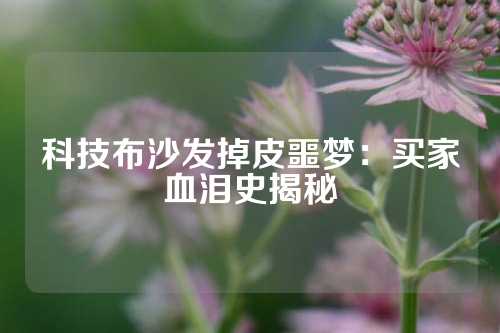 科技布沙发掉皮噩梦：买家血泪史揭秘