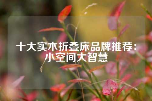 十大实木折叠床品牌推荐：小空间大智慧