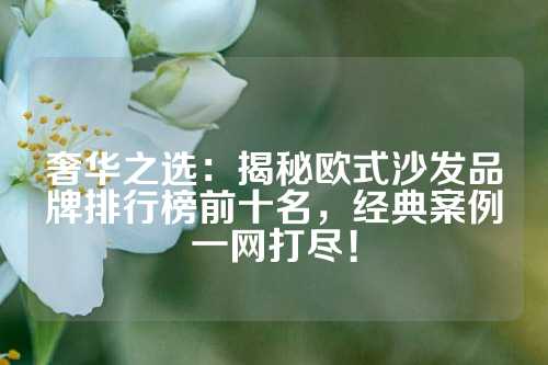 奢华之选：揭秘欧式沙发品牌排行榜前十名，经典案例一网打尽！