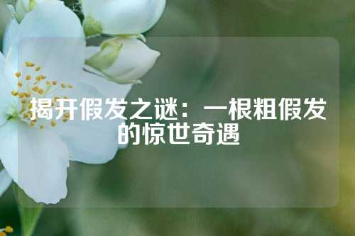 揭开假发之谜：一根粗假发的惊世奇遇