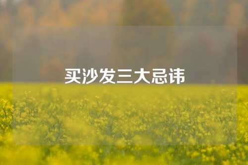 买沙发三大忌讳