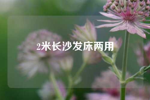 2米长沙发床两用