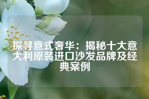 探寻意式奢华：揭秘十大意大利原装进口沙发品牌及经典案例