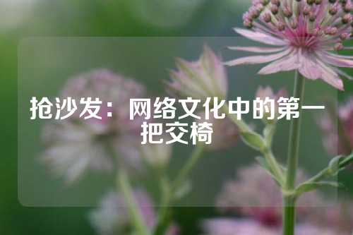 抢沙发:网络文化中的第一把交椅