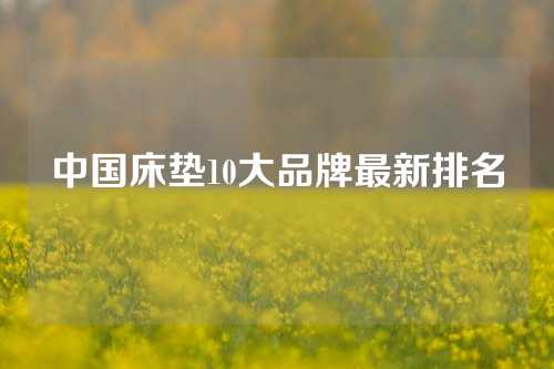 中国床垫10大品牌最新排名