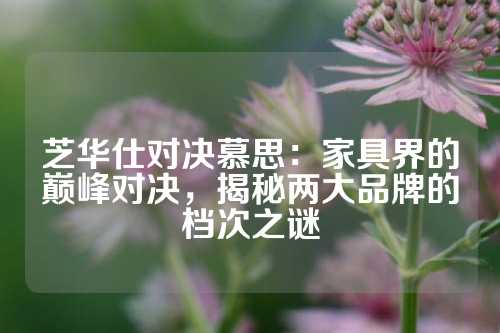 芝华仕对决慕思：家具界的巅峰对决，揭秘两大品牌的档次之谜