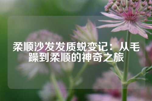 柔顺沙发发质蜕变记：从毛躁到柔顺的神奇之旅