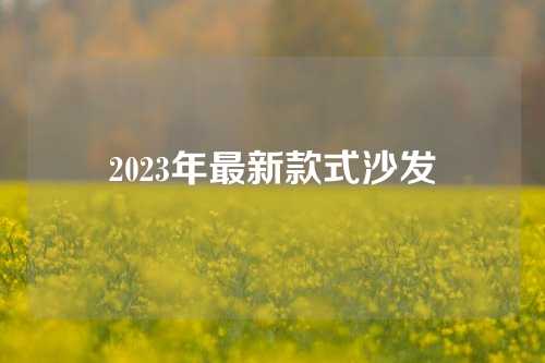 2023年最新款式沙发