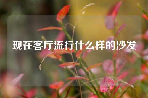 现在客厅流行什么样的沙发