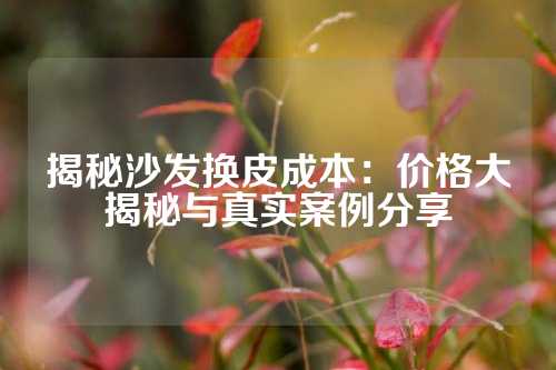 揭秘沙发换皮成本：价格大揭秘与真实案例分享