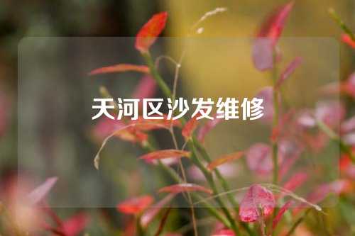 天河区沙发维修