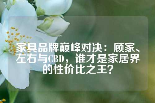 家具品牌巅峰对决：顾家、左右与CBD，谁才是家居界的性价比之王？