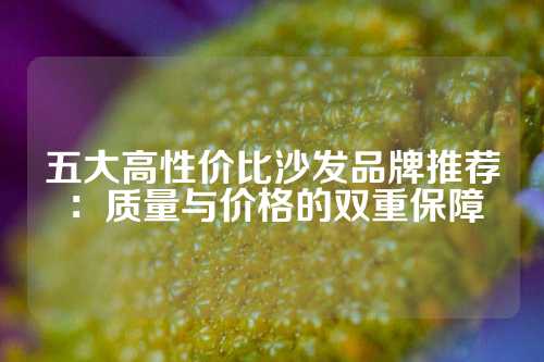 五大高性价比沙发品牌推荐：质量与价格的双重保障