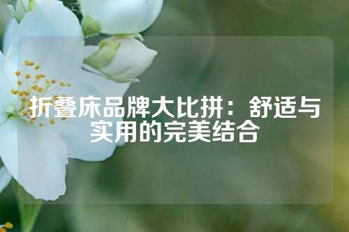折叠床品牌大比拼：舒适与实用的完美结合