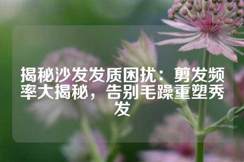 揭秘沙发发质困扰：剪发频率大揭秘，告别毛躁重塑秀发