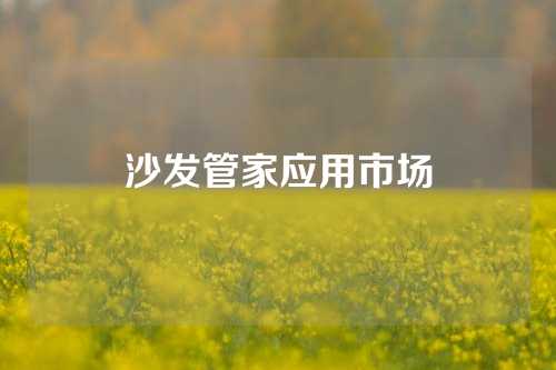沙发管家应用市场