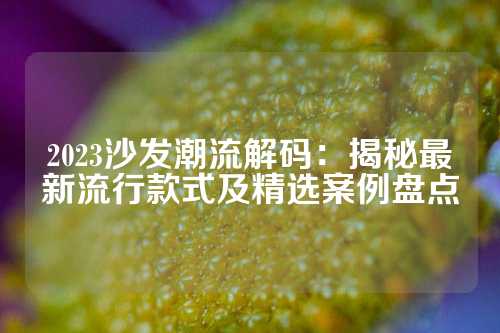 2023沙发潮流解码：揭秘最新流行款式及精选案例盘点