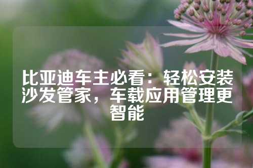 比亚迪车主必看：轻松安装沙发管家，车载应用管理更智能