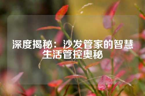 深度揭秘：沙发管家的智慧生活管控奥秘