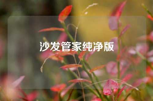 沙发管家纯净版