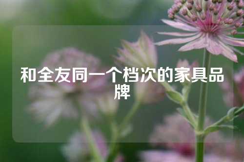 和全友同一个档次的家具品牌