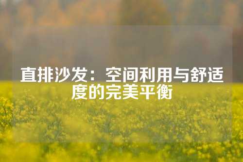 直排沙发：空间利用与舒适度的完美平衡