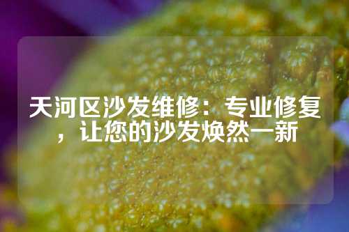 天河区沙发维修：专业修复，让您的沙发焕然一新