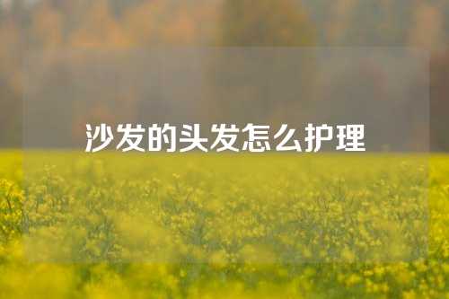 沙发的头发怎么护理