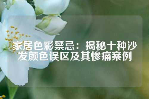 家居色彩禁忌:揭秘十种沙发颜色误区及其惨痛案例