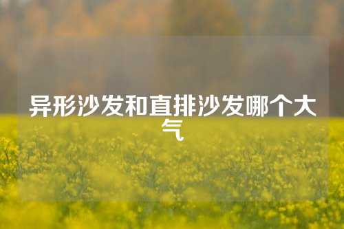 异形沙发和直排沙发哪个大气