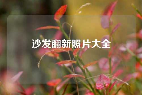 沙发翻新照片大全