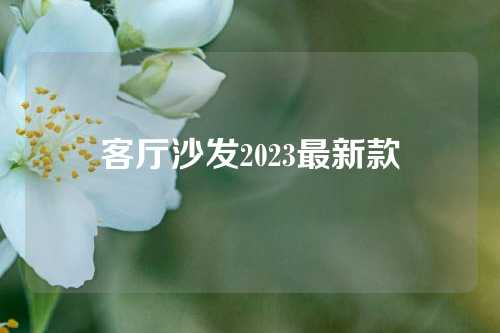 客厅沙发2023最新款