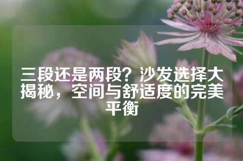 三段还是两段？沙发选择大揭秘，空间与舒适度的完美平衡
