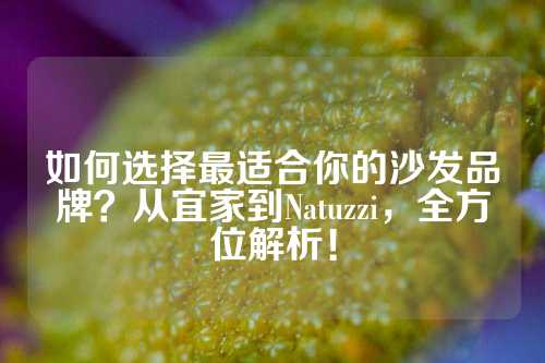 如何选择最适合你的沙发品牌？从宜家到Natuzzi，全方位解析！