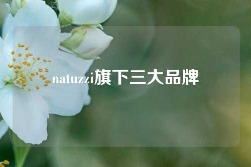 natuzzi旗下三大品牌