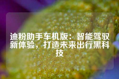 迪粉助手车机版：智能驾驭新体验，打造未来出行黑科技