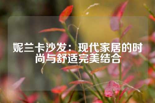 妮兰卡沙发：现代家居的时尚与舒适完美结合