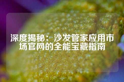 深度揭秘：沙发管家应用市场官网的全能宝藏指南