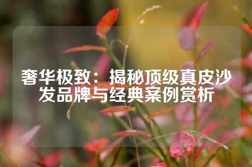 奢华极致：揭秘顶级真皮沙发品牌与经典案例赏析