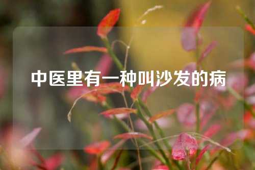 中医里有一种叫沙发的病
