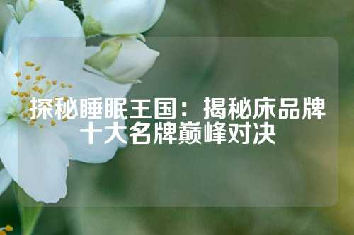 探秘睡眠王国：揭秘床品牌十大名牌巅峰对决