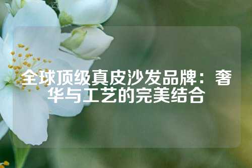 全球顶级真皮沙发品牌：奢华与工艺的完美结合