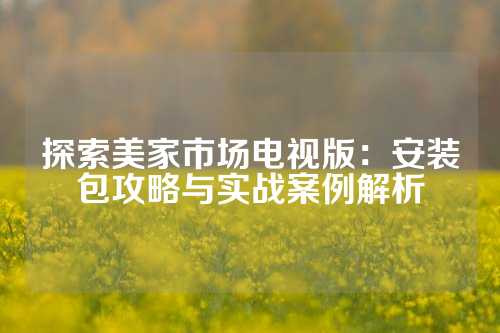探索美家市场电视版：安装包攻略与实战案例解析