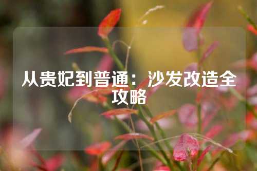 从贵妃到普通:沙发改造全攻略