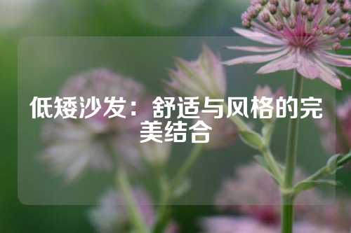 低矮沙发：舒适与风格的完美结合